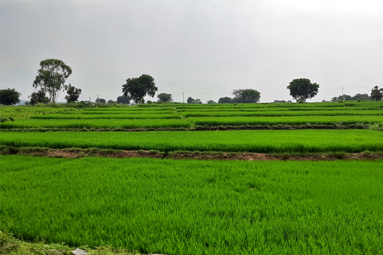 Buy agricultural land in Ahmedabad