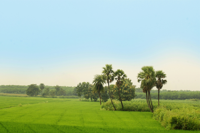Agricultural Land for Investment
