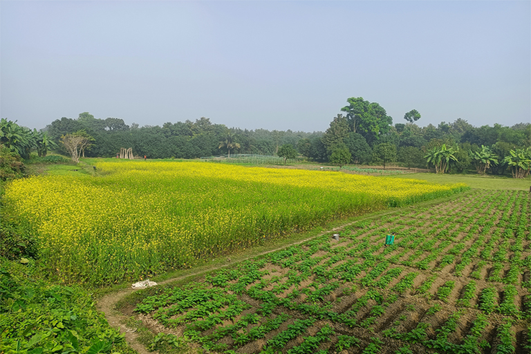 Best Farms for Sale in Ahmedabad