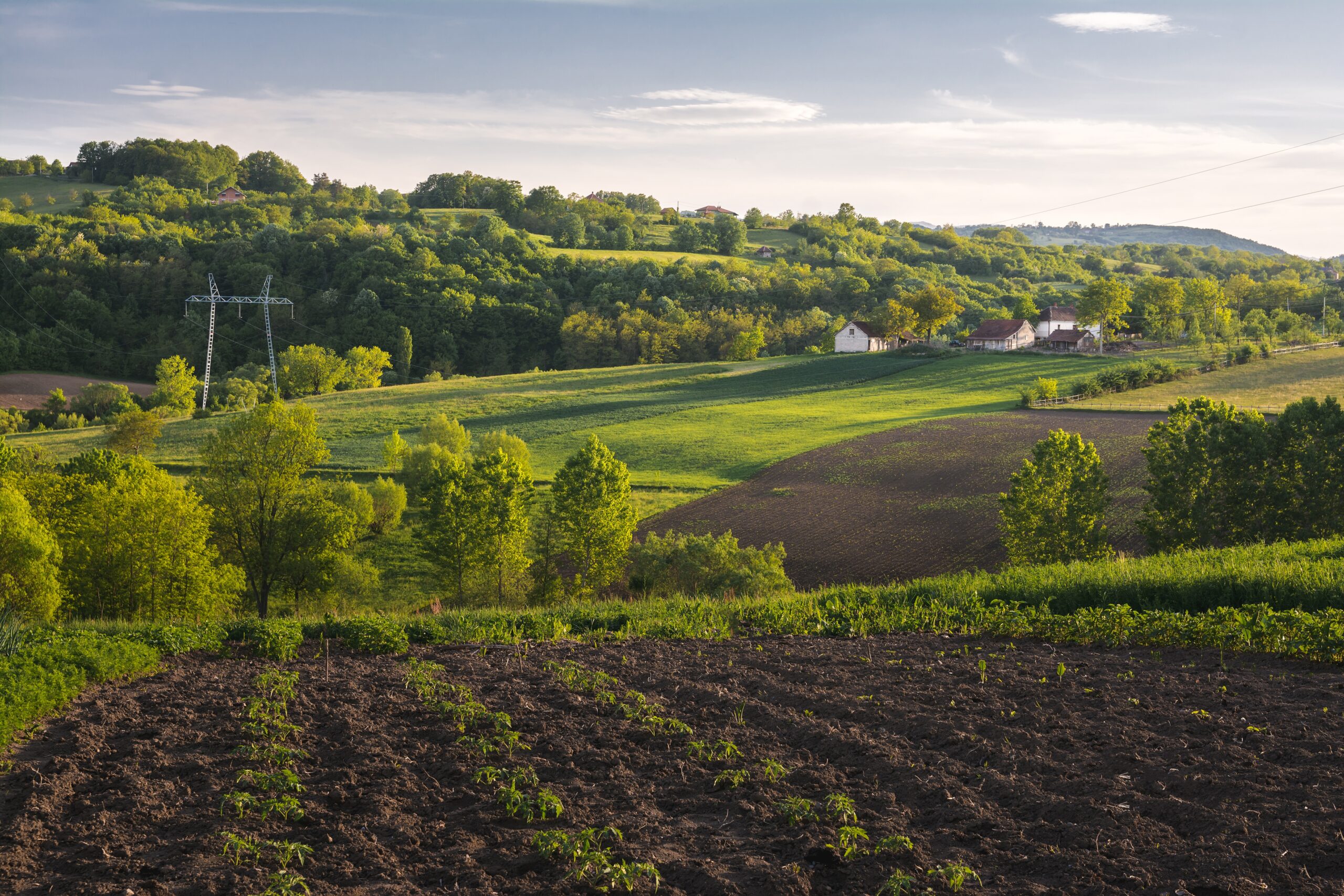 Buy agricultural land in Ahmedabad