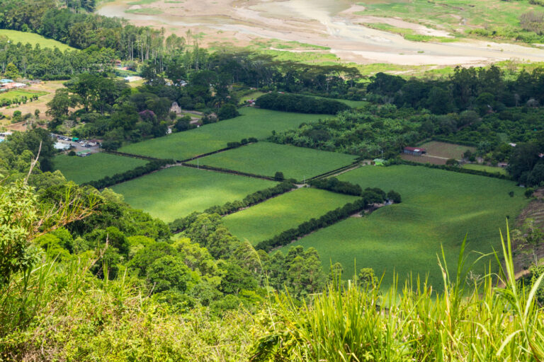Agricultural Properties in Ahmedabad