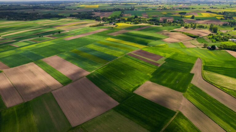 Affordable Agricultural Land in Ahmedabad
